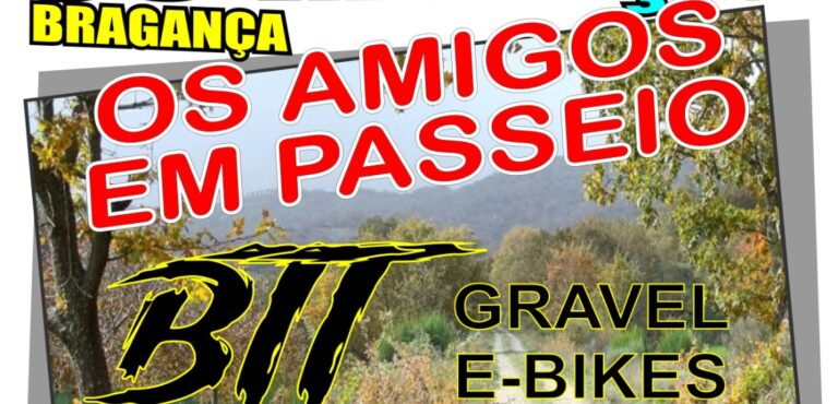 Read more about the article “Os Amigos em Passeio”