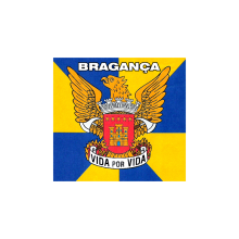 logo_B.V.BGC